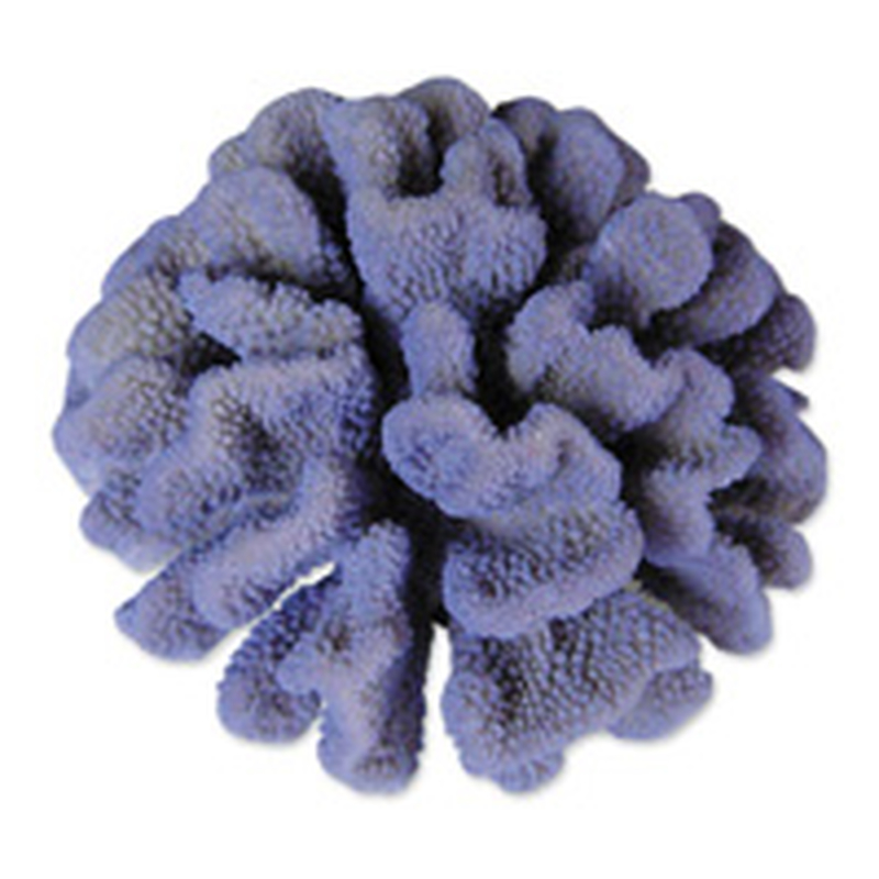 Грот "Морской коралл" фиолетовый