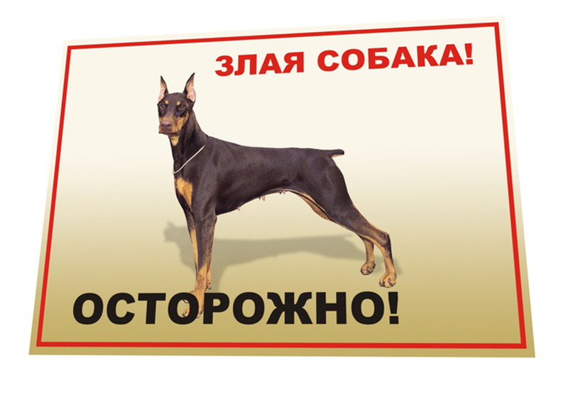 Информационная табличка Данко "Осторожно! Злая собака" доберман