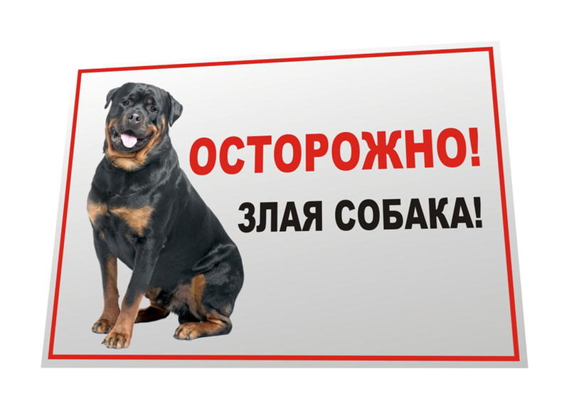 Информационная табличка Данко "Осторожно! Злая собака" ротвейлер
