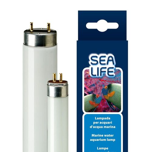 Неоновая лампа Sealife для аквариумов с морской водой