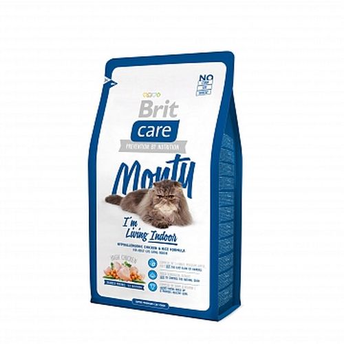 Care Cat Monty Indoor