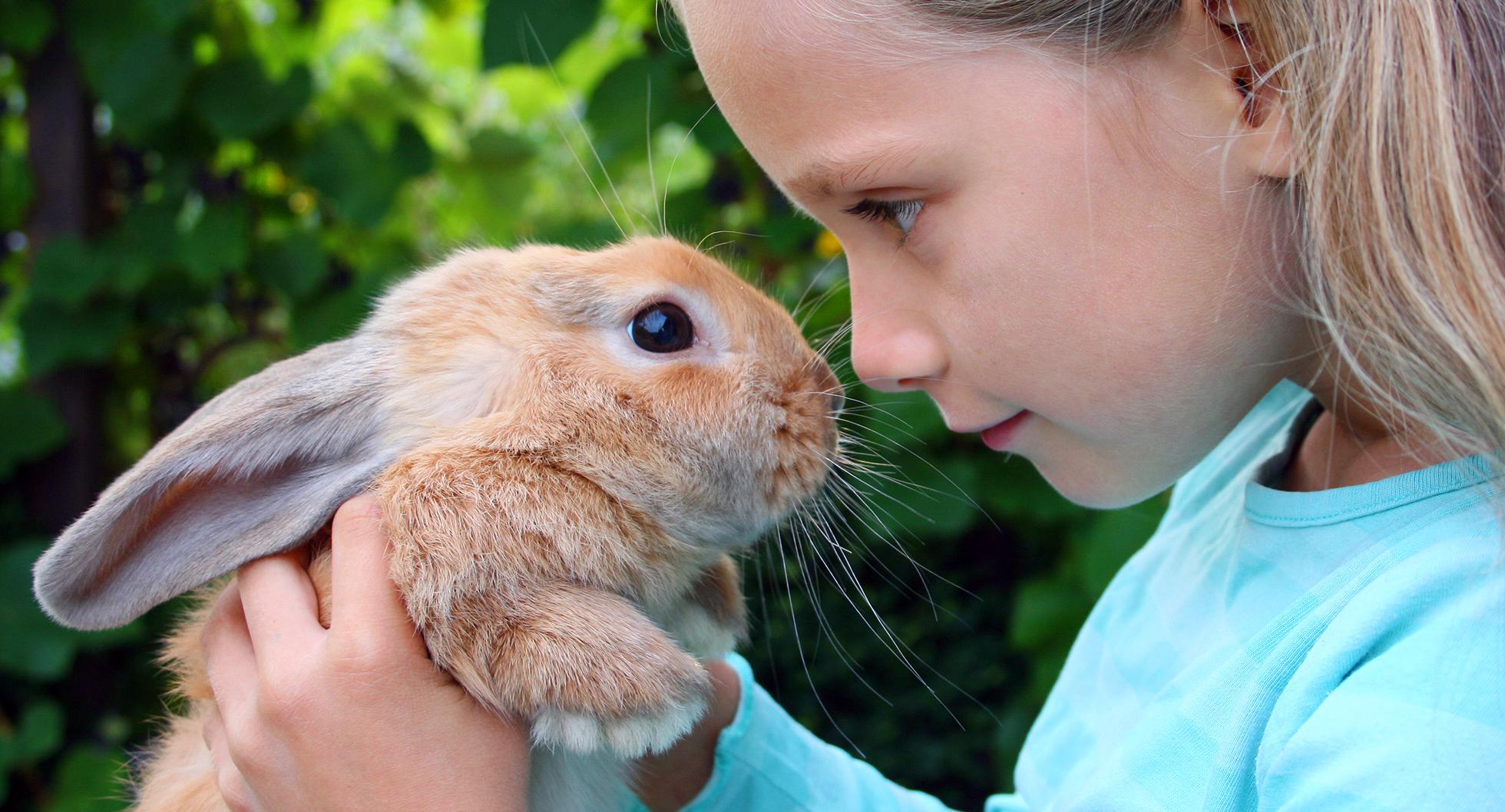 Кролик в руках у девочки